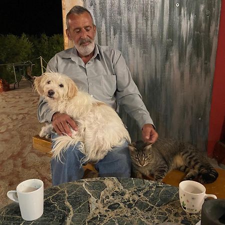 Art Studio Kefalonia Dhavgáta エクステリア 写真