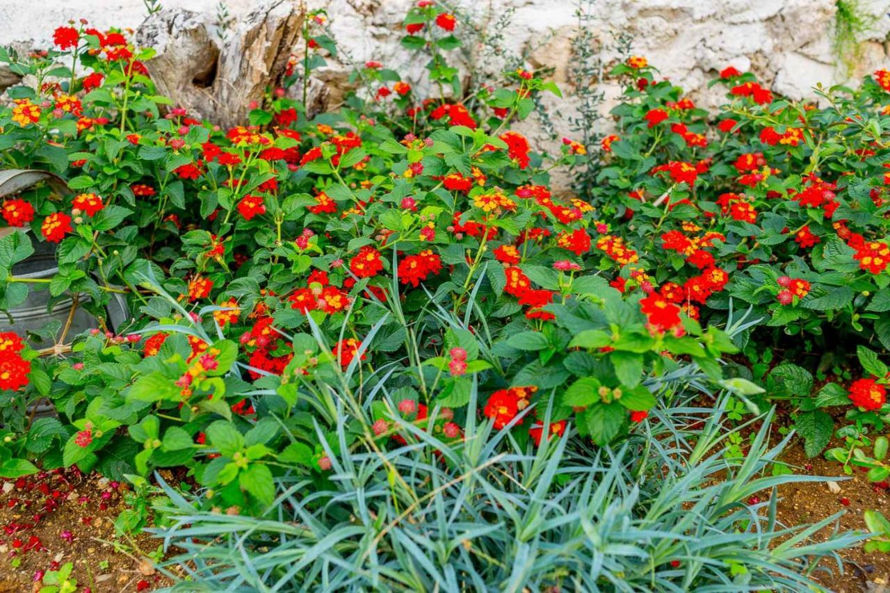 Art Studio Kefalonia Dhavgáta エクステリア 写真